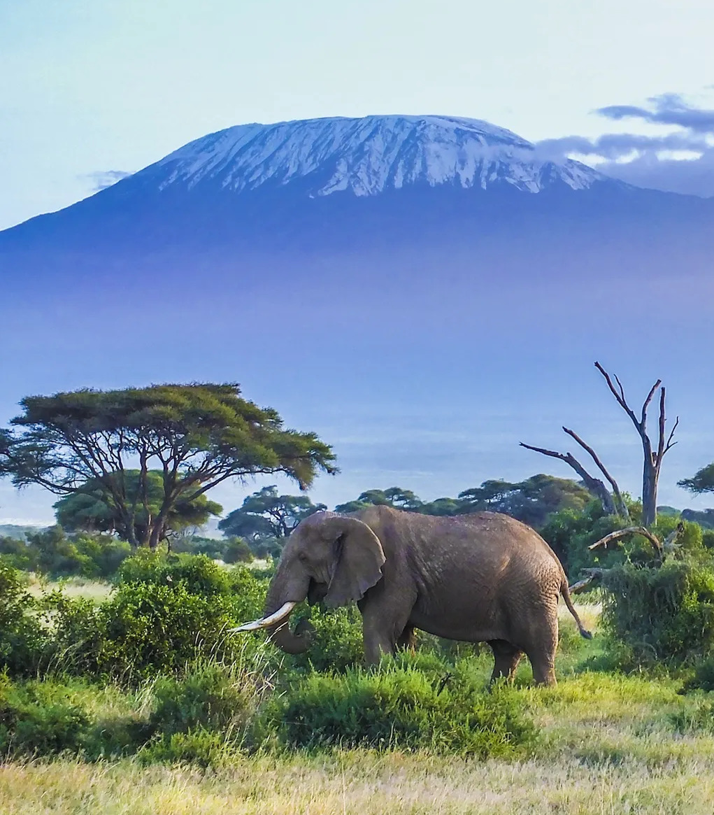 Kenya Country Banner